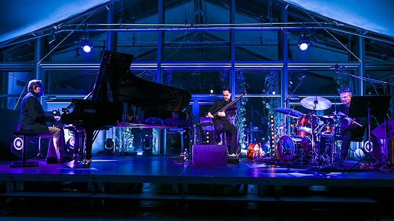 Krzysztof Herdzin Trio, koncert w Radziejowicach