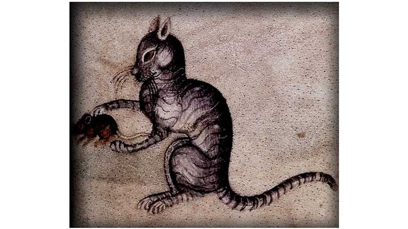 Dźwięki, które mruczą. Kot w historii muzyki - DlaKultury.pl