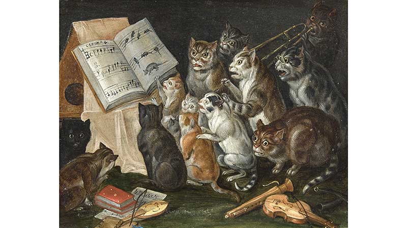 Jan van Kessel, Koncert kotów