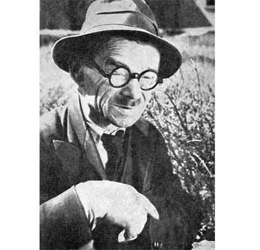 Nikifor, Oswojony świat Nikifora - DlaKultury.pl