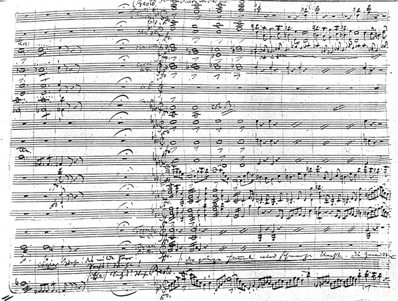 Carl Maria von Weber, Wolny Strzelec