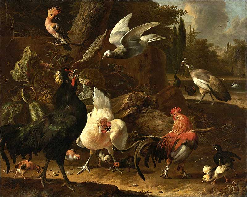 Melchior d'Hondecoeter, Ptaki w parku, 1686